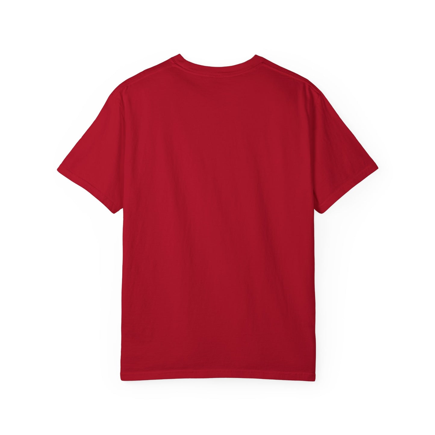 $o Ville Design-Unisex Garment-Dyed T-Shirt