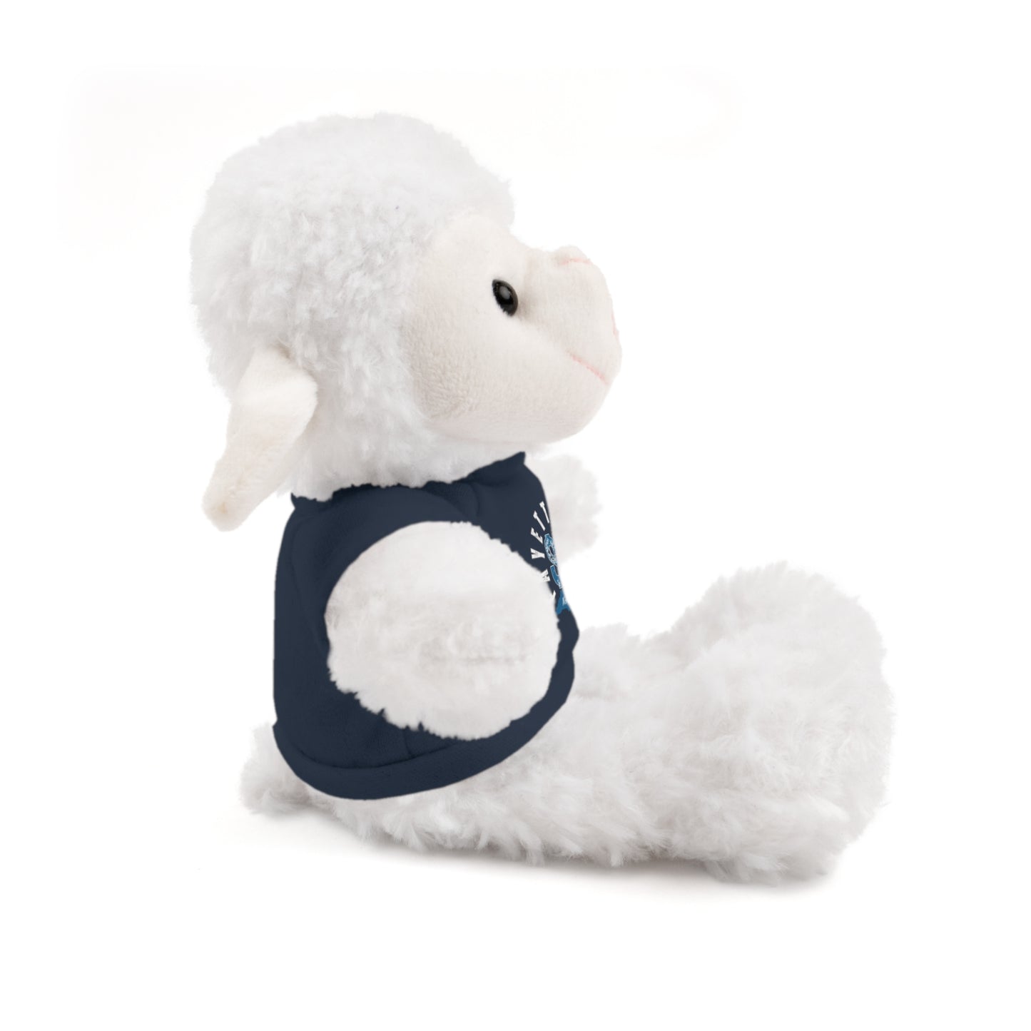 $o Fayetteville Personalized Stuffed Bear with T-Shirt – Perfect Gift for Kids and Celebrations