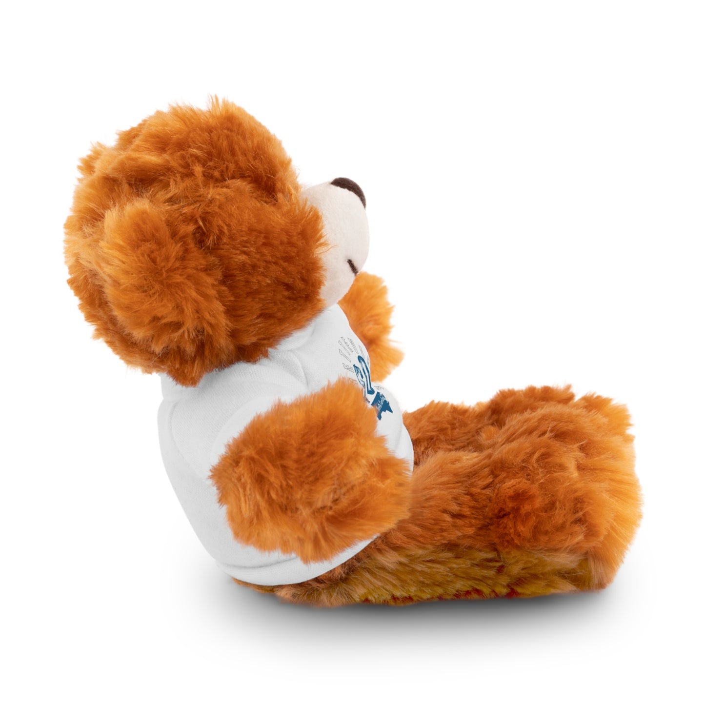 $o Fayetteville Personalized Stuffed Bear with T-Shirt – Perfect Gift for Kids and Celebrations