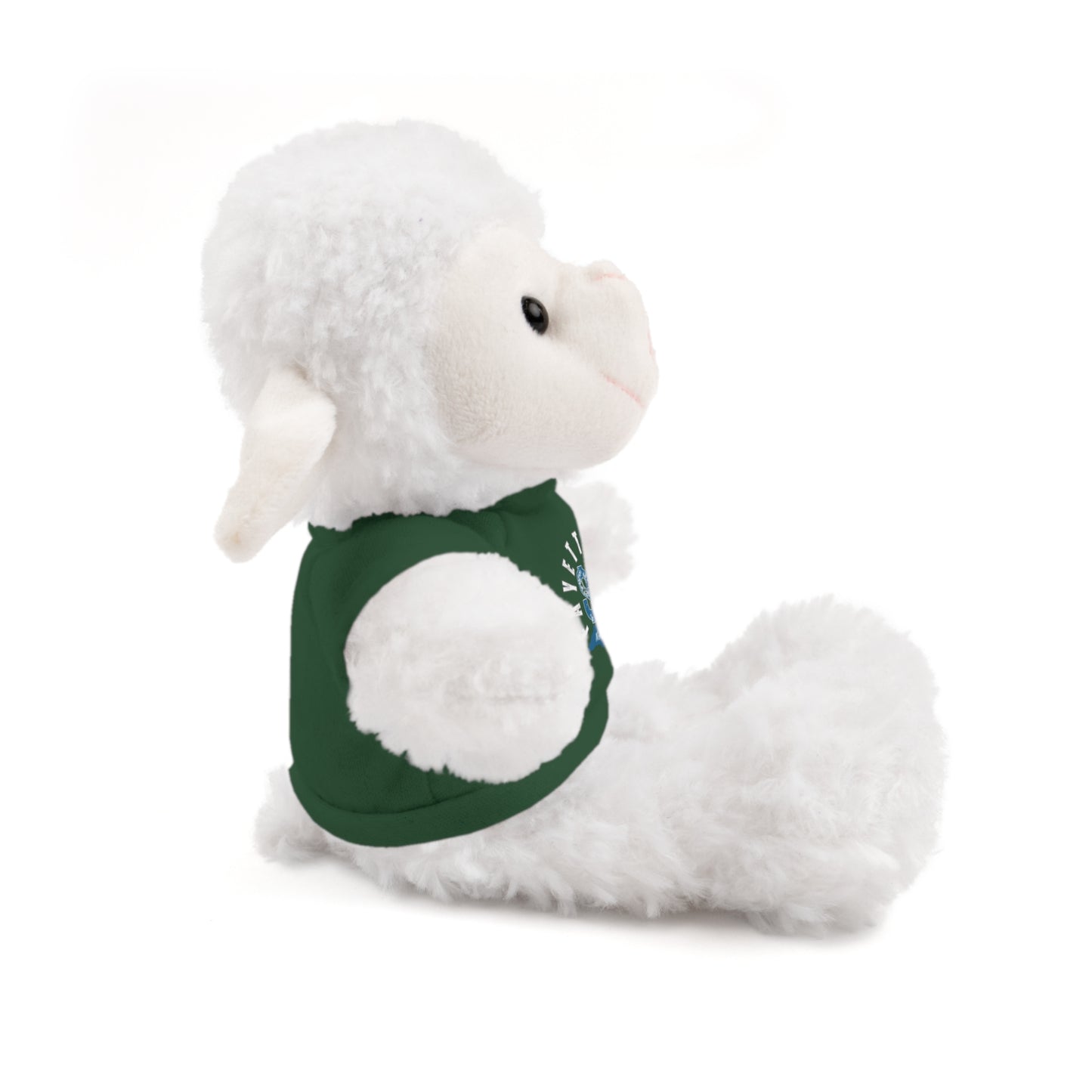 $o Fayetteville Personalized Stuffed Bear with T-Shirt – Perfect Gift for Kids and Celebrations
