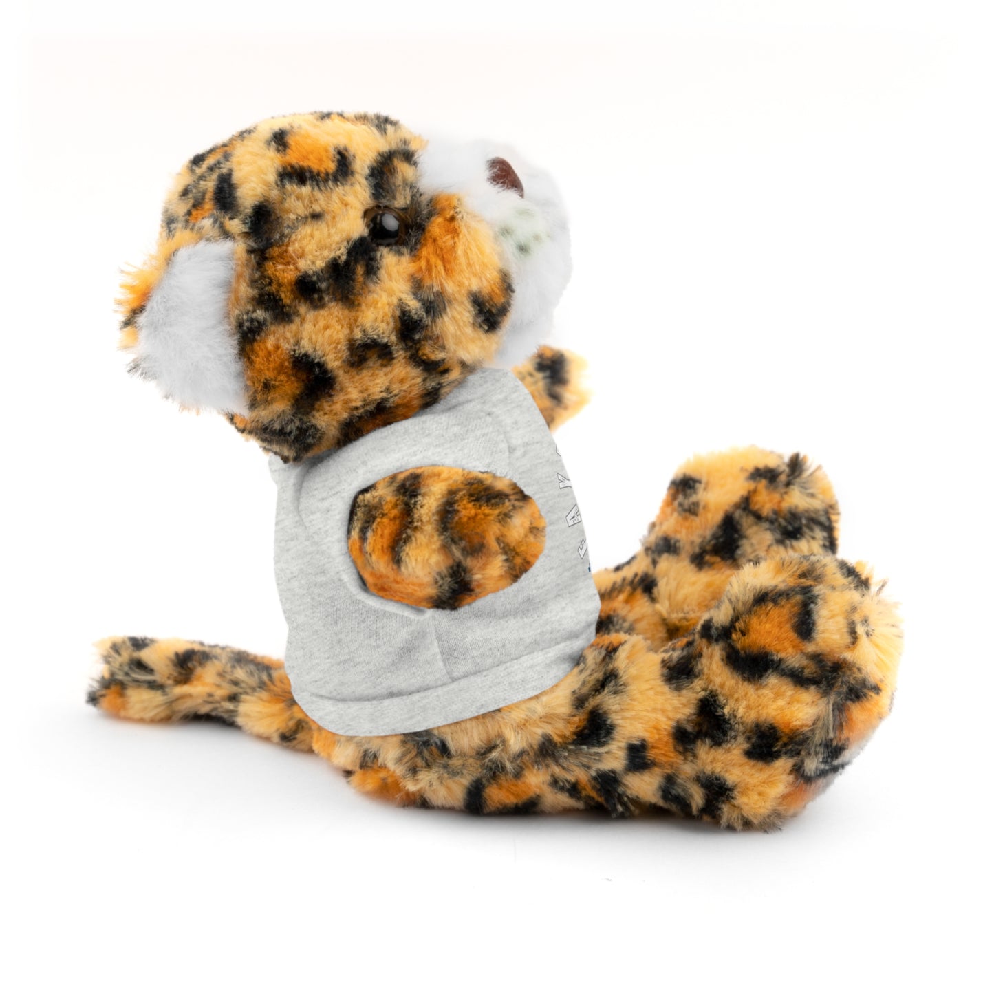 $o Fayetteville Personalized Stuffed Bear with T-Shirt – Perfect Gift for Kids and Celebrations