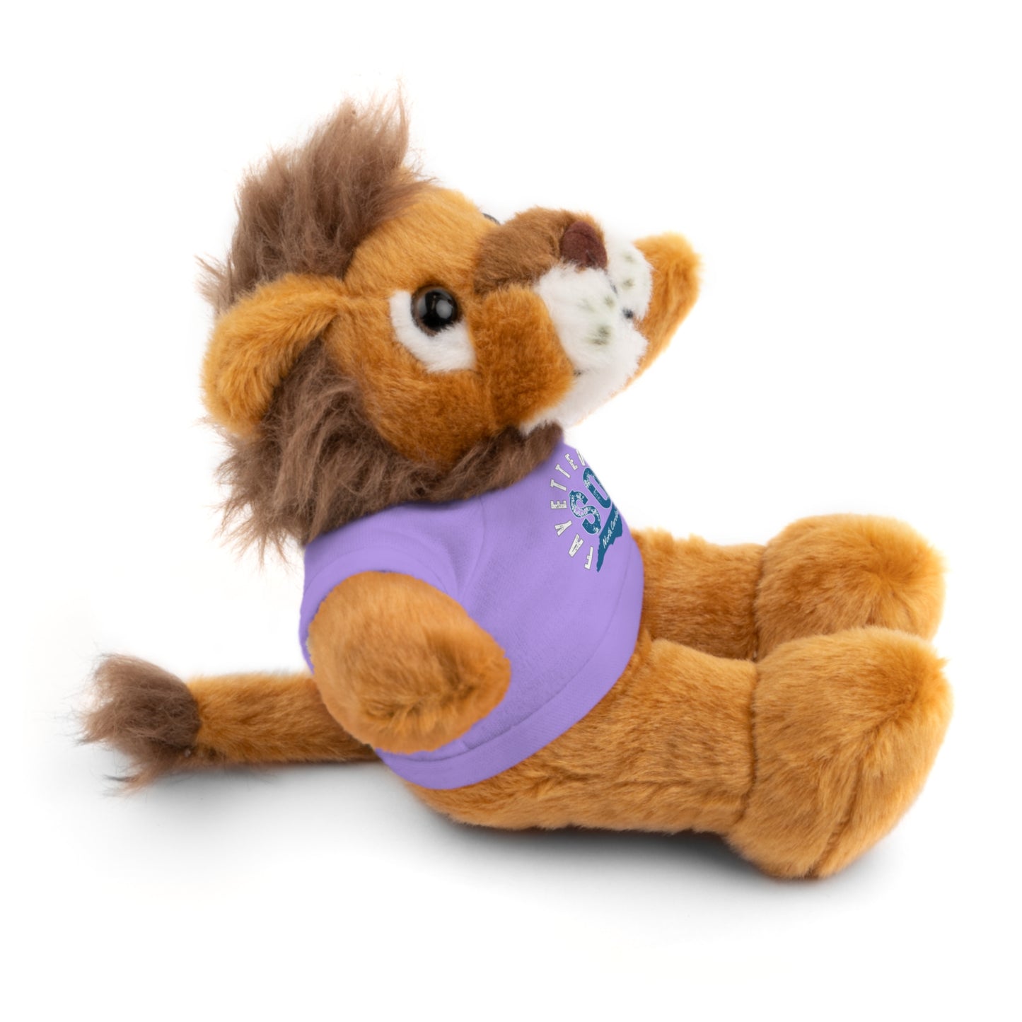 $o Fayetteville Personalized Stuffed Bear with T-Shirt – Perfect Gift for Kids and Celebrations