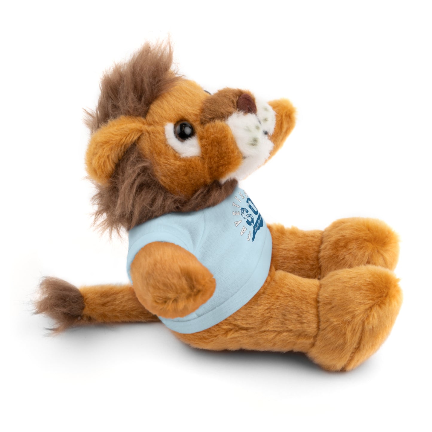 $o Fayetteville Personalized Stuffed Bear with T-Shirt – Perfect Gift for Kids and Celebrations