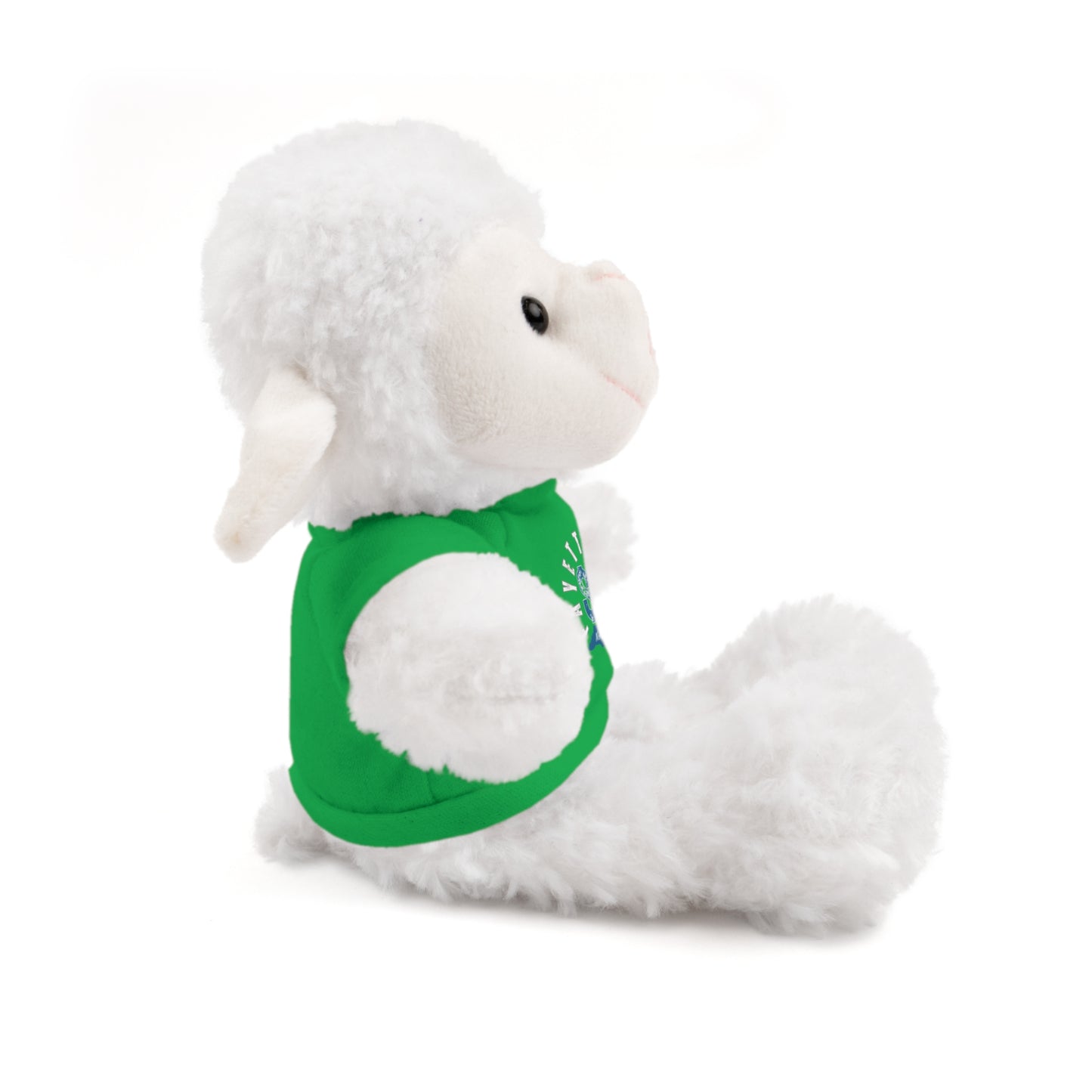 $o Fayetteville Personalized Stuffed Bear with T-Shirt – Perfect Gift for Kids and Celebrations