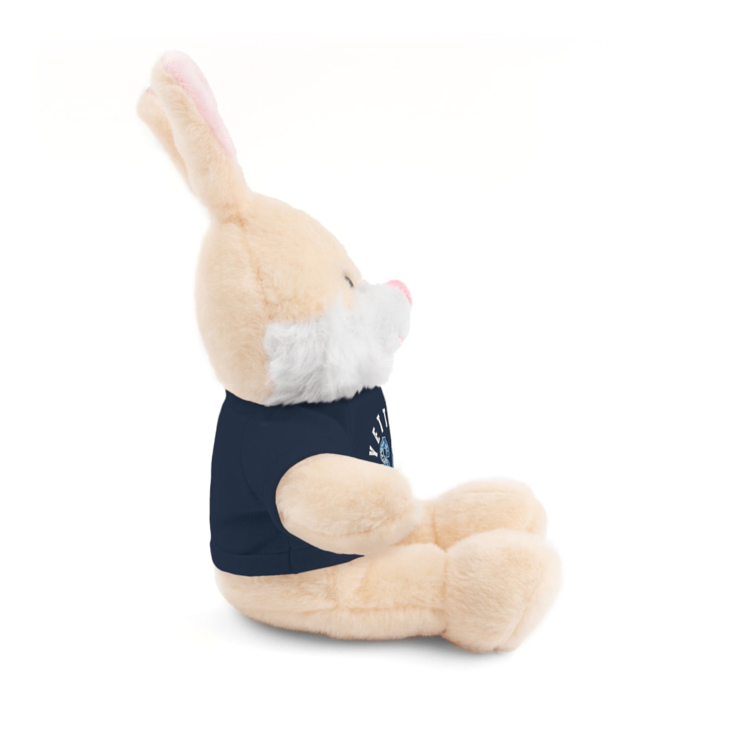 $o Fayetteville Personalized Stuffed Bear with T-Shirt – Perfect Gift for Kids and Celebrations
