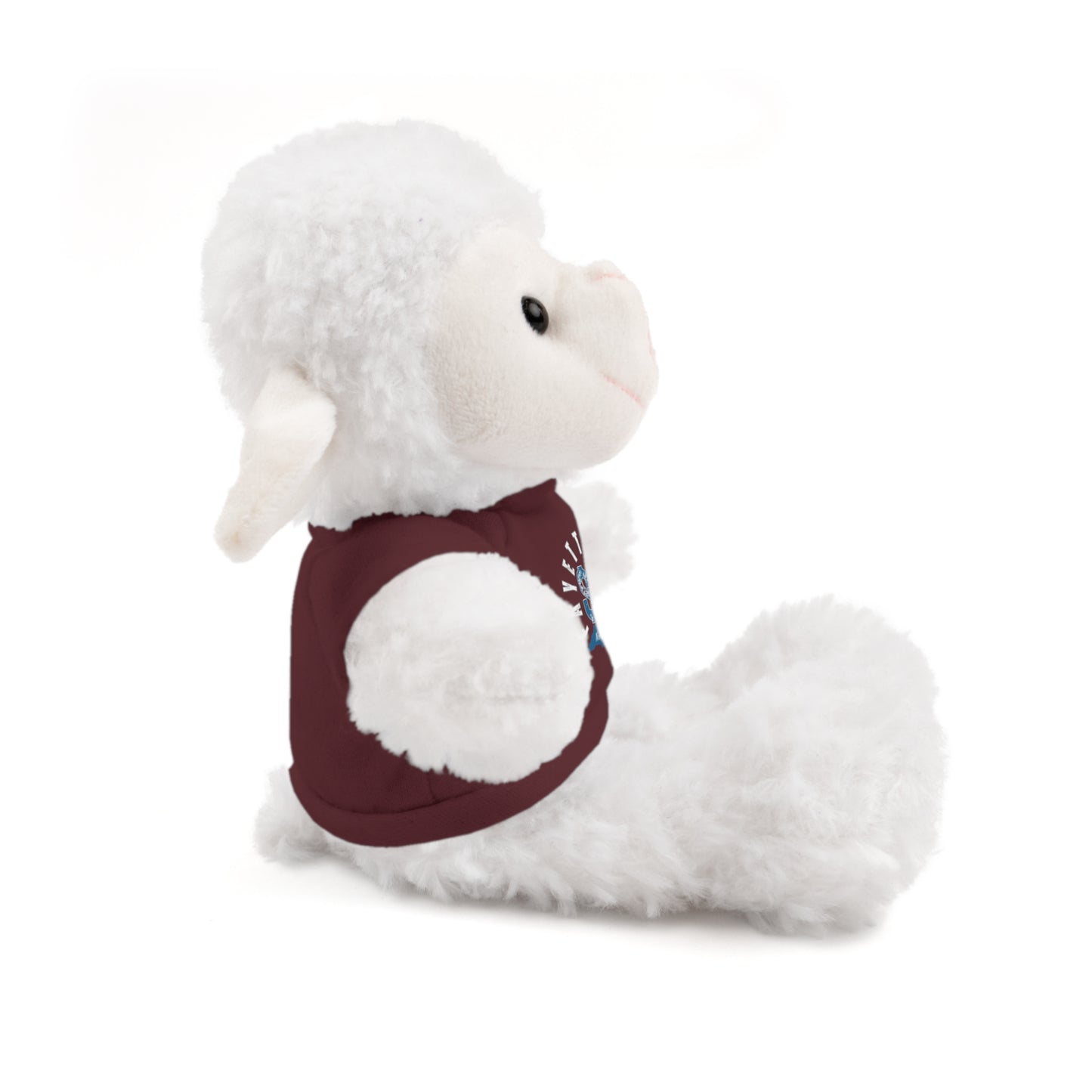 $o Fayetteville Personalized Stuffed Bear with T-Shirt – Perfect Gift for Kids and Celebrations