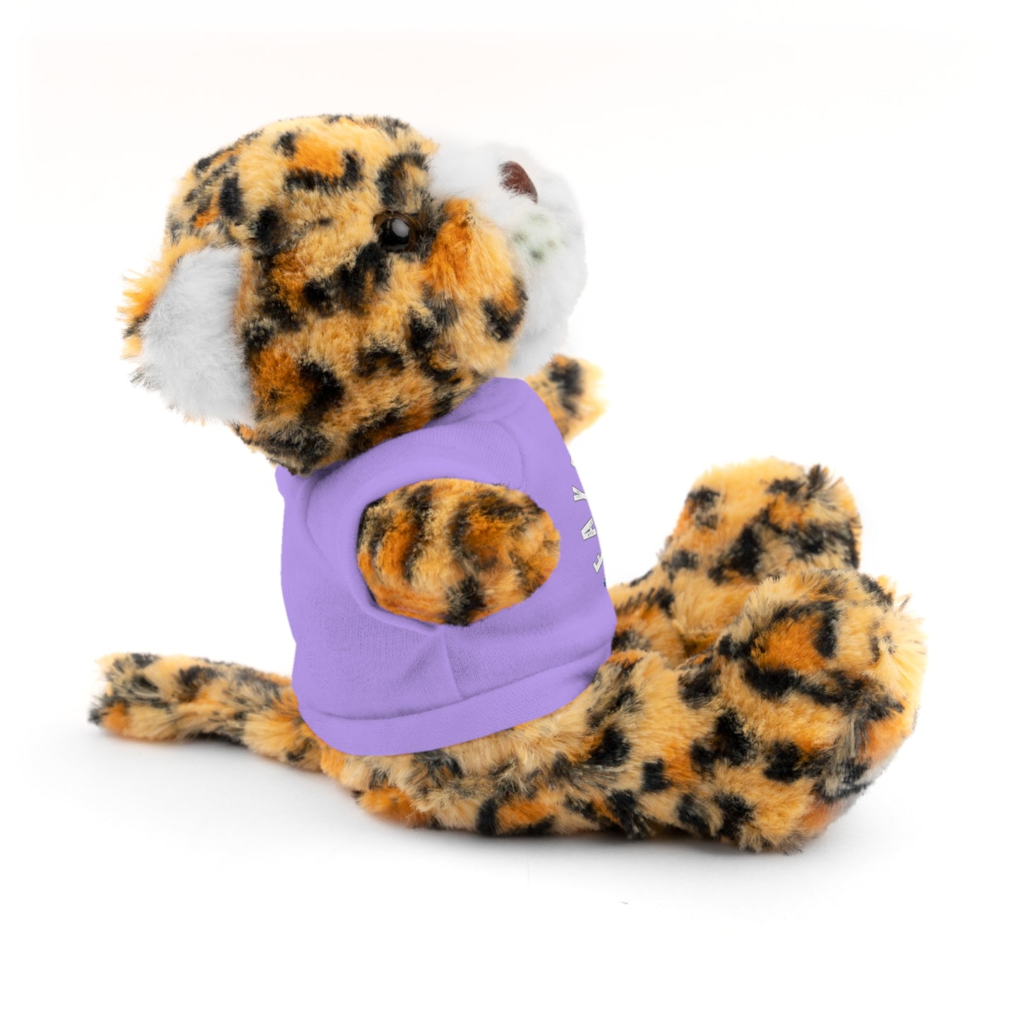 $o Fayetteville Personalized Stuffed Bear with T-Shirt – Perfect Gift for Kids and Celebrations