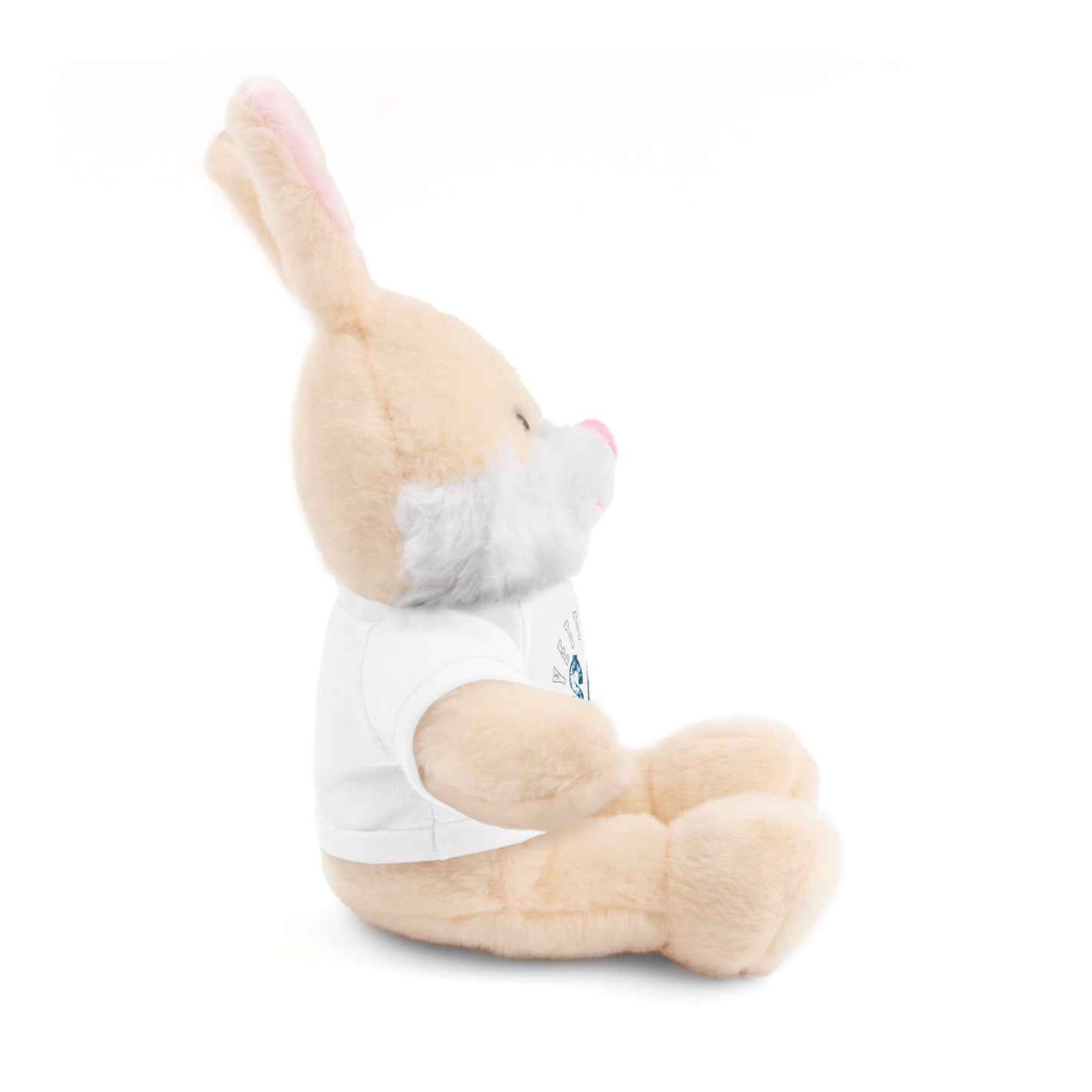 $o Fayetteville Personalized Stuffed Bear with T-Shirt – Perfect Gift for Kids and Celebrations