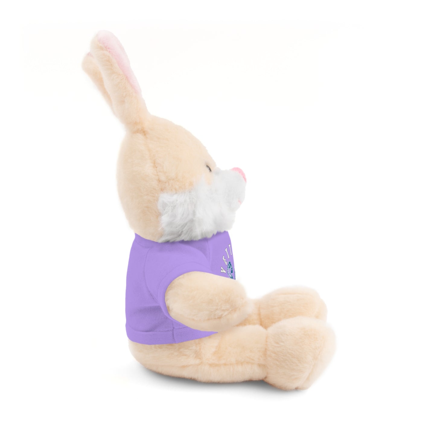 $o Fayetteville Personalized Stuffed Bear with T-Shirt – Perfect Gift for Kids and Celebrations
