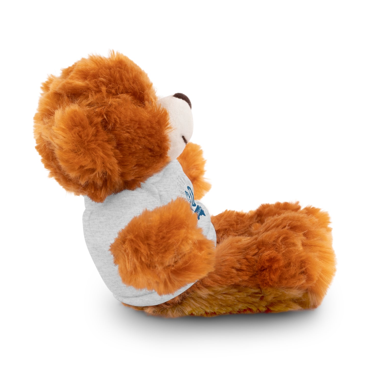$o Fayetteville Personalized Stuffed Bear with T-Shirt – Perfect Gift for Kids and Celebrations