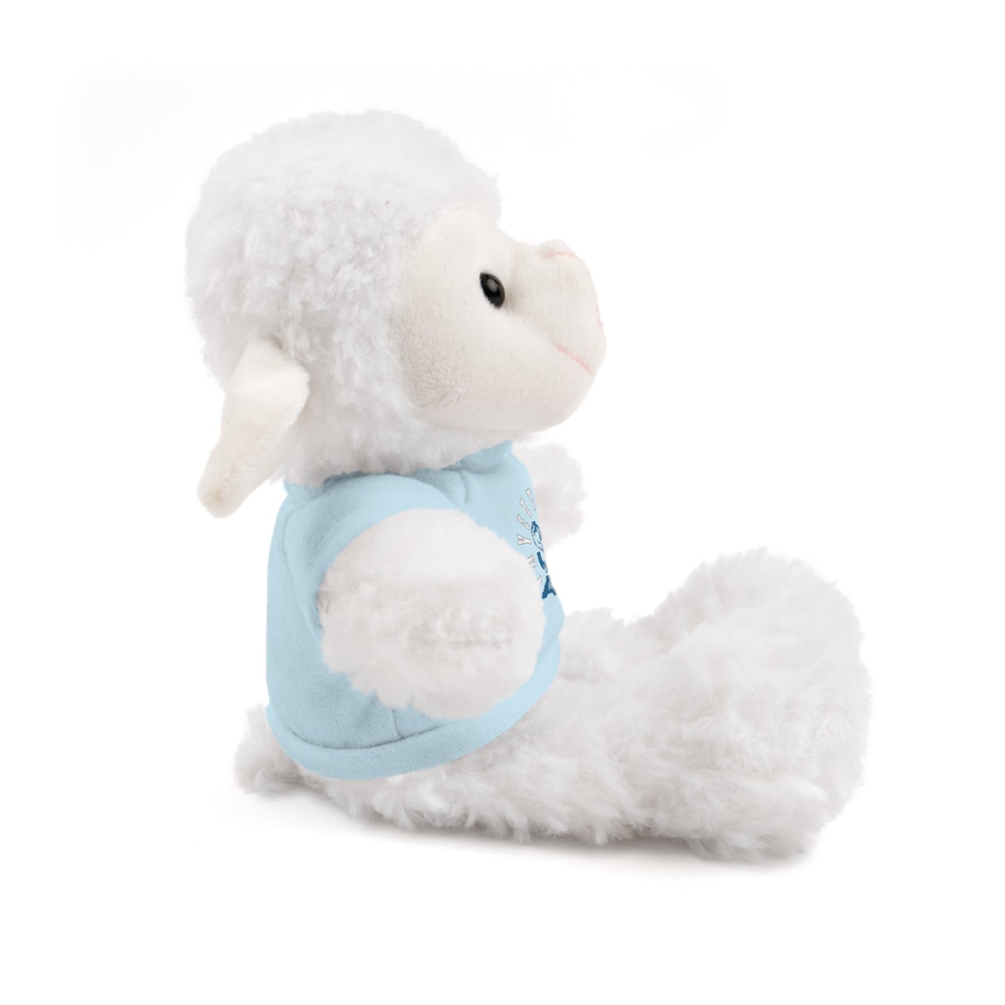$o Fayetteville Personalized Stuffed Bear with T-Shirt – Perfect Gift for Kids and Celebrations
