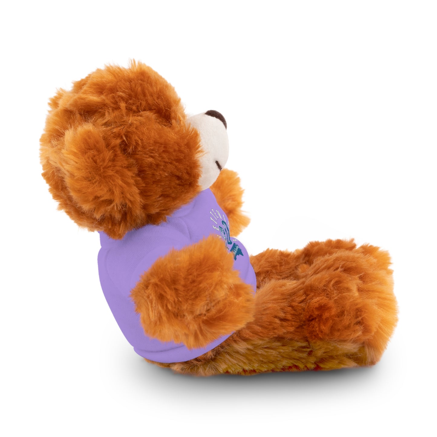 $o Fayetteville Personalized Stuffed Bear with T-Shirt – Perfect Gift for Kids and Celebrations