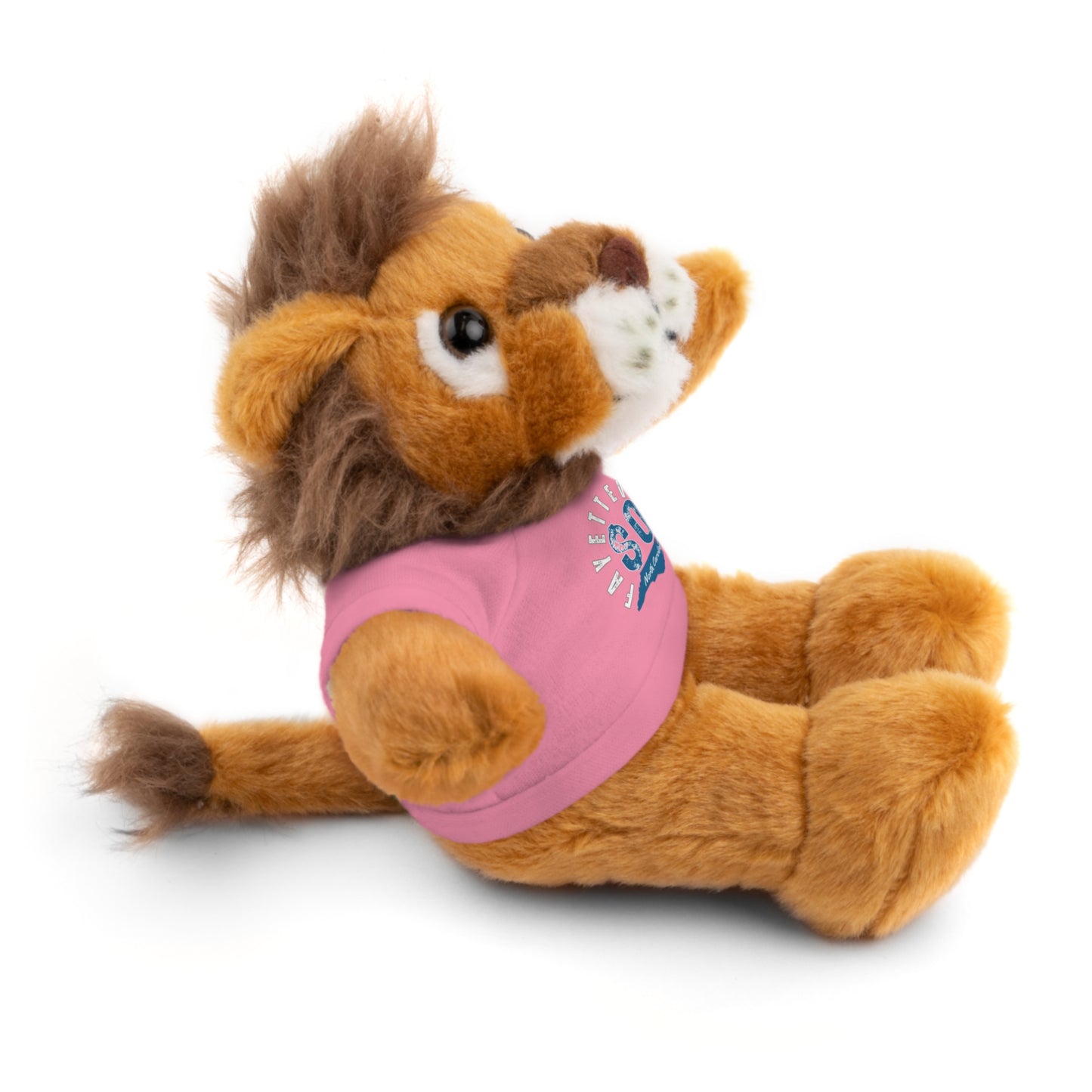$o Fayetteville Personalized Stuffed Bear with T-Shirt – Perfect Gift for Kids and Celebrations
