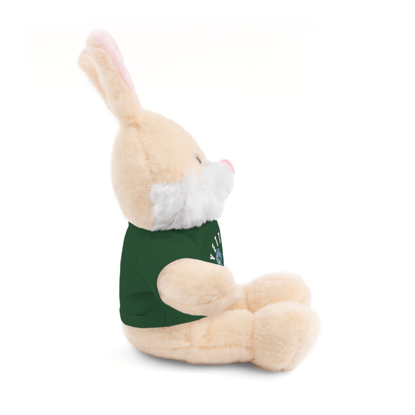 $o Fayetteville Personalized Stuffed Bear with T-Shirt – Perfect Gift for Kids and Celebrations