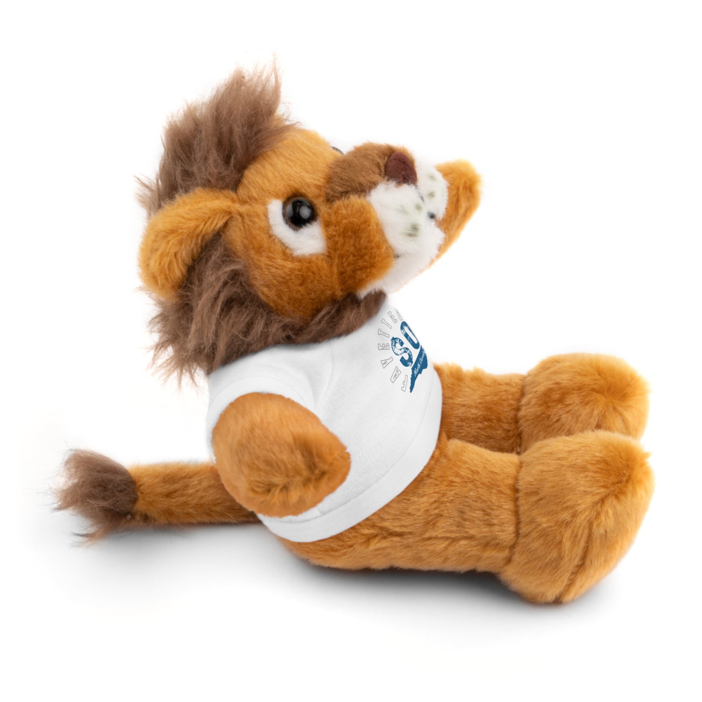 $o Fayetteville Personalized Stuffed Bear with T-Shirt – Perfect Gift for Kids and Celebrations