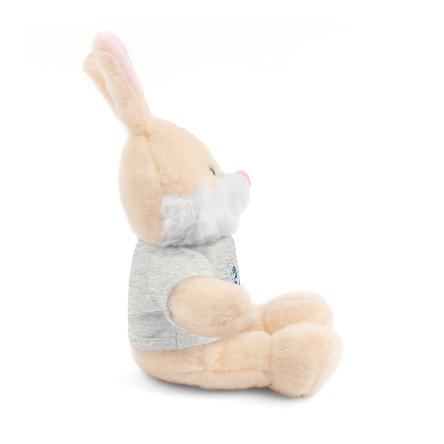 $o Fayetteville Personalized Stuffed Bear with T-Shirt – Perfect Gift for Kids and Celebrations