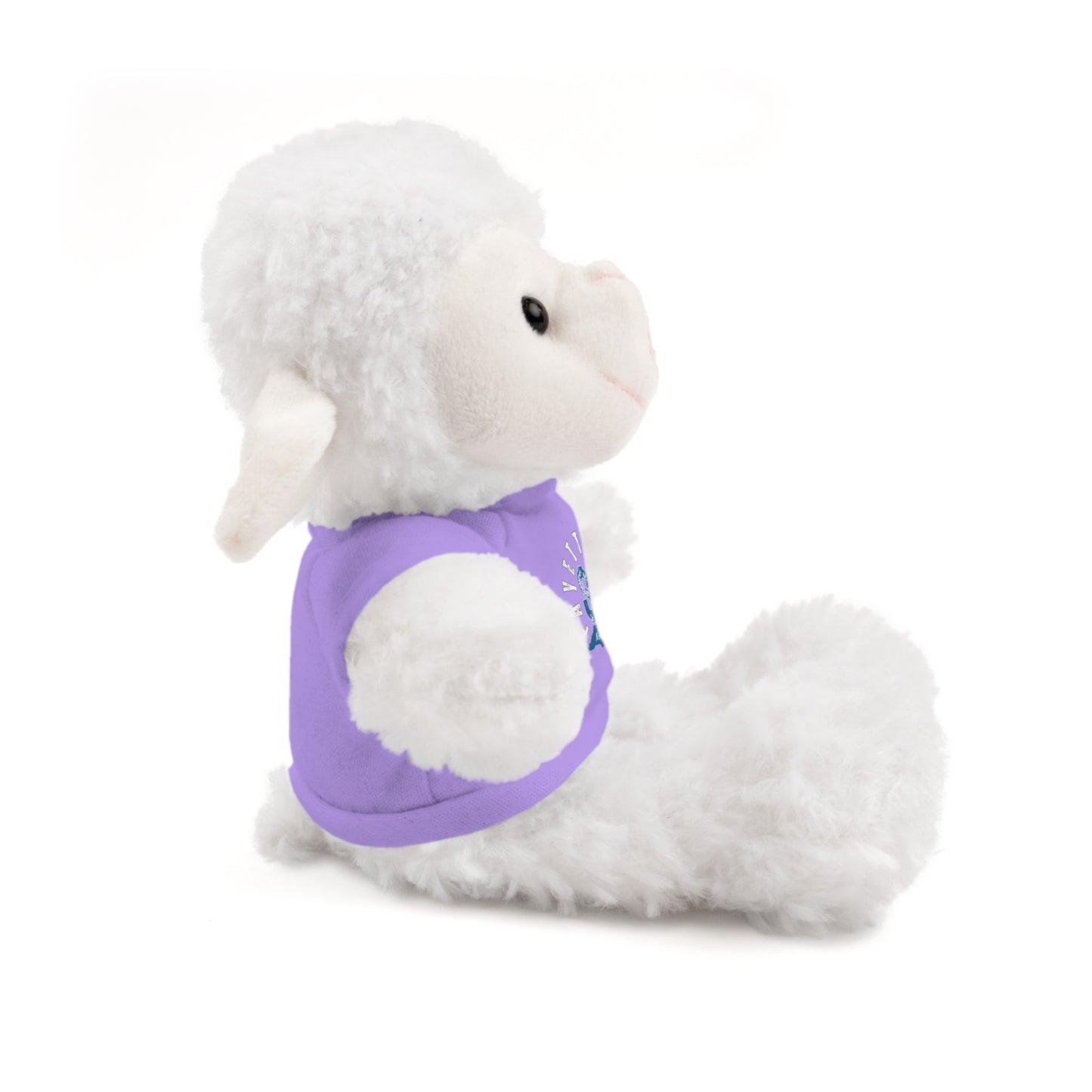 $o Fayetteville Personalized Stuffed Bear with T-Shirt – Perfect Gift for Kids and Celebrations
