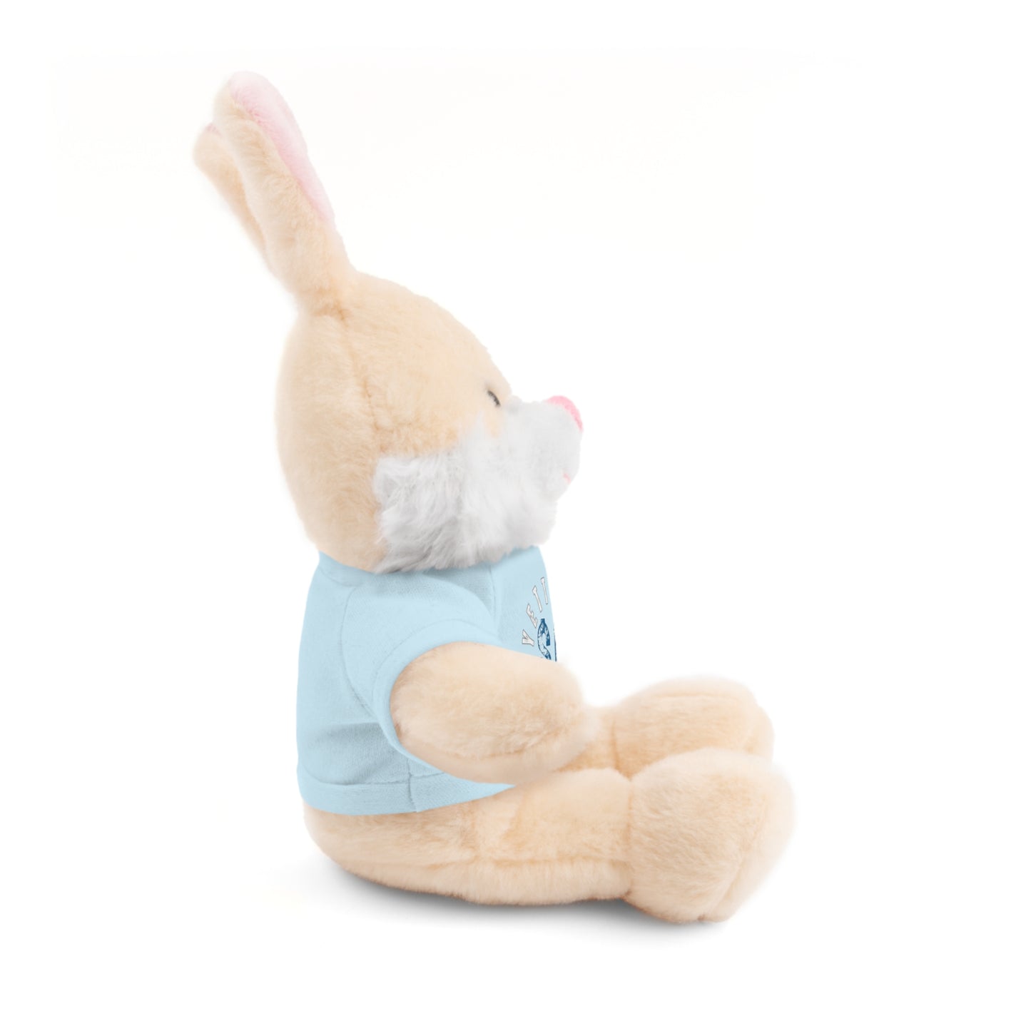 $o Fayetteville Personalized Stuffed Bear with T-Shirt – Perfect Gift for Kids and Celebrations