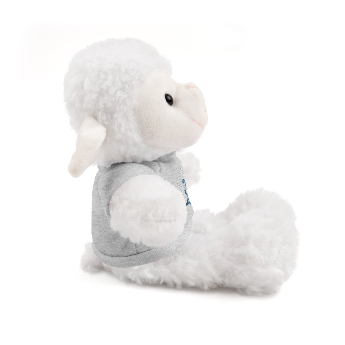 $o Fayetteville Personalized Stuffed Bear with T-Shirt – Perfect Gift for Kids and Celebrations