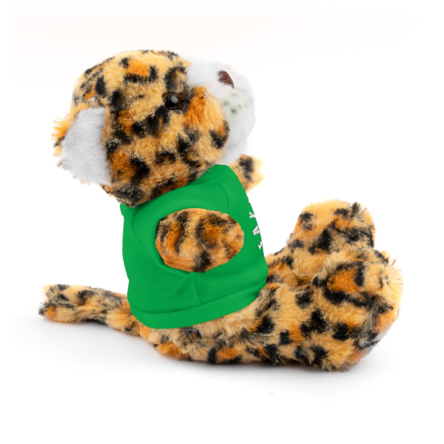 $o Fayetteville Personalized Stuffed Bear with T-Shirt – Perfect Gift for Kids and Celebrations
