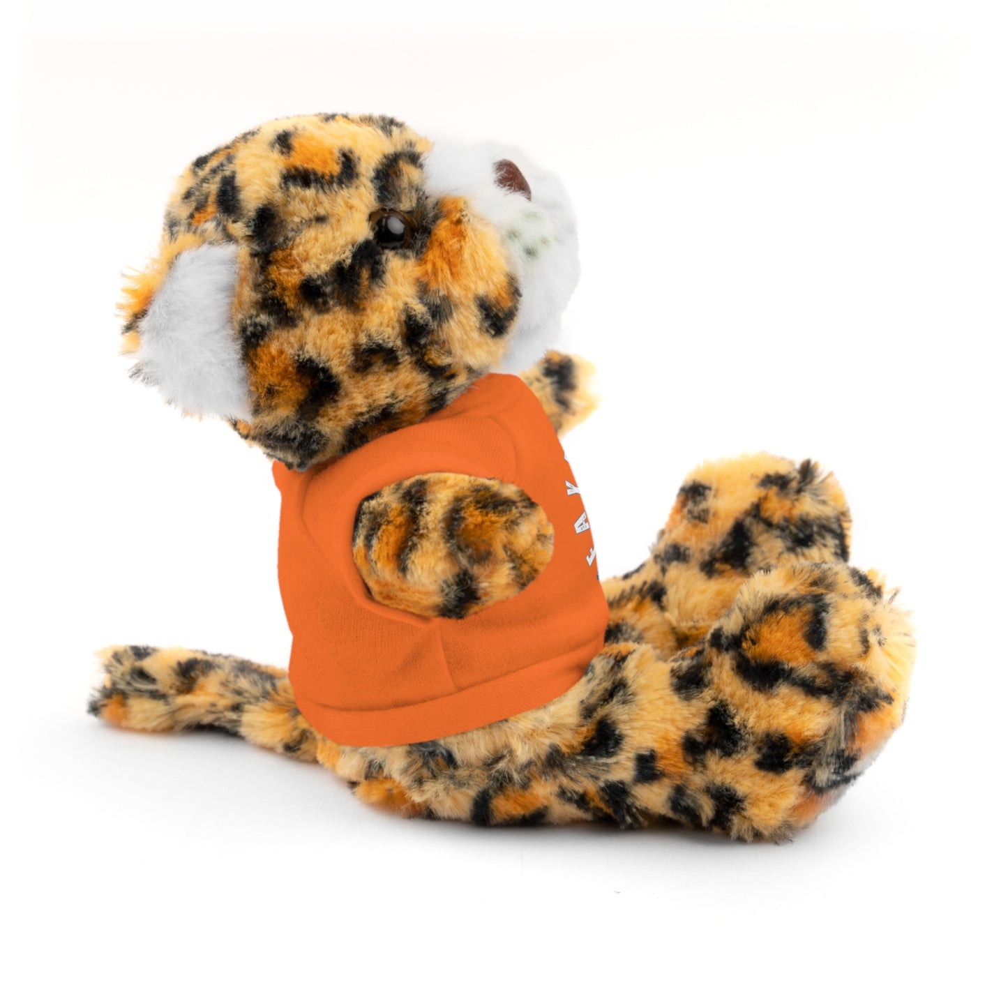$o Fayetteville Personalized Stuffed Bear with T-Shirt – Perfect Gift for Kids and Celebrations