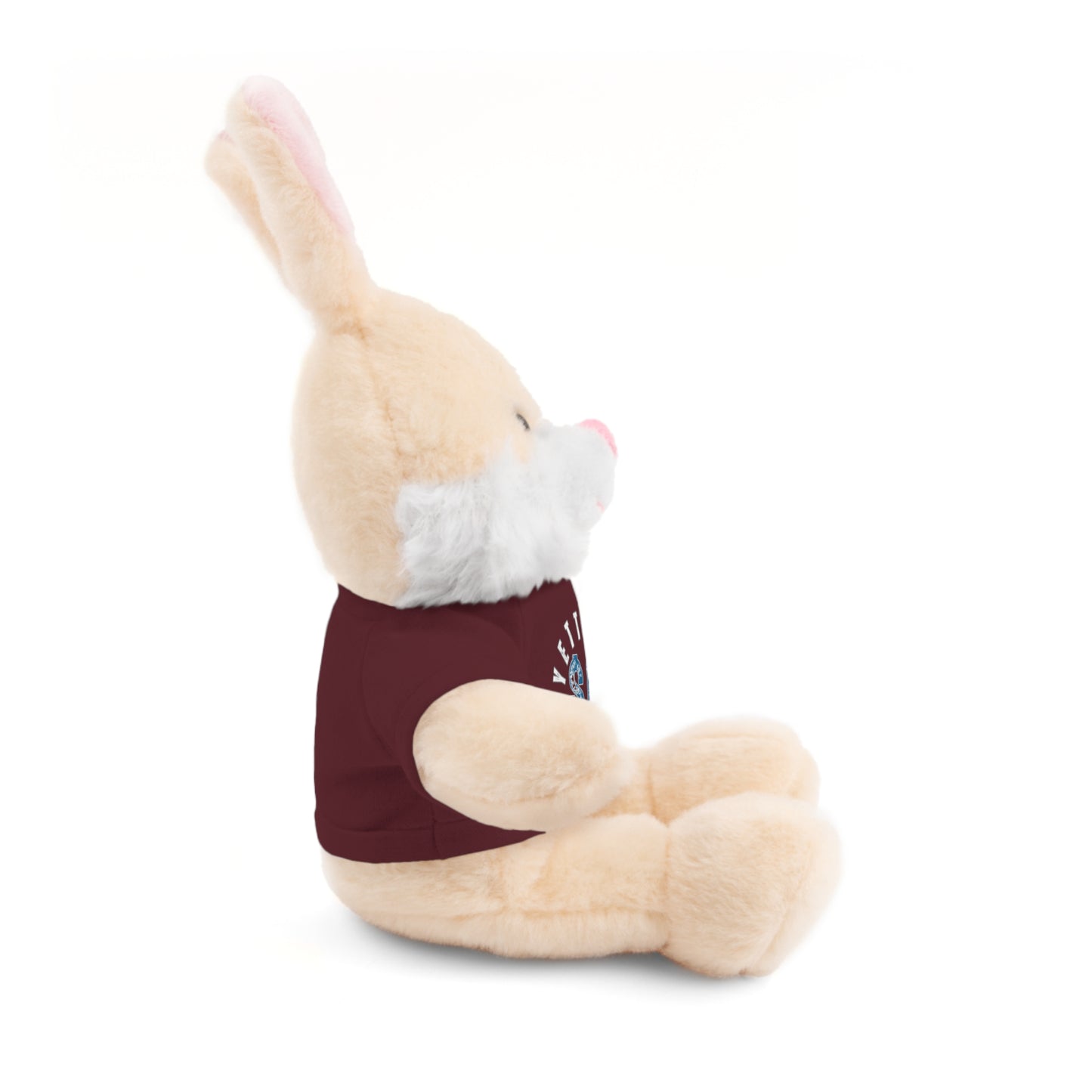 $o Fayetteville Personalized Stuffed Bear with T-Shirt – Perfect Gift for Kids and Celebrations