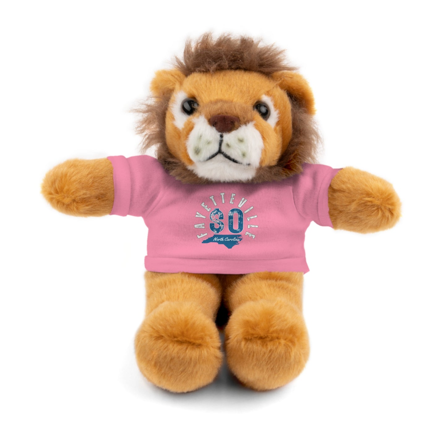 $o Fayetteville Personalized Stuffed Bear with T-Shirt – Perfect Gift for Kids and Celebrations