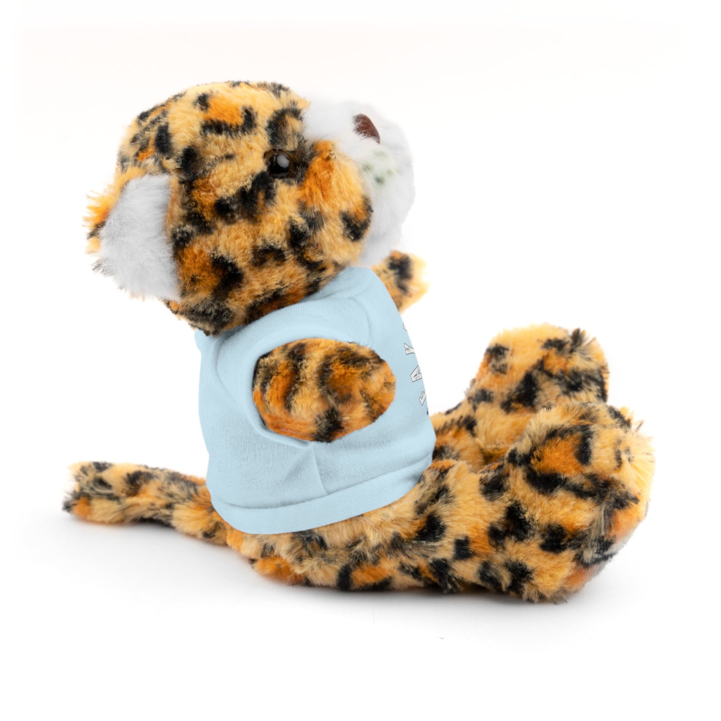 $o Fayetteville Personalized Stuffed Bear with T-Shirt – Perfect Gift for Kids and Celebrations