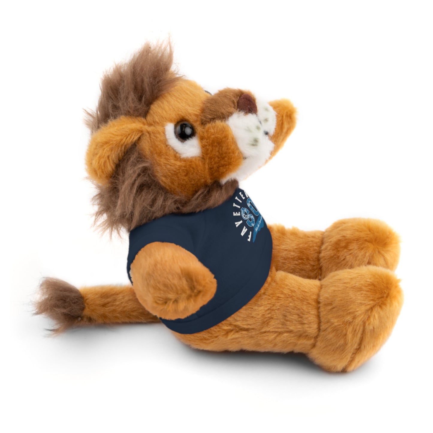 $o Fayetteville Personalized Stuffed Bear with T-Shirt – Perfect Gift for Kids and Celebrations