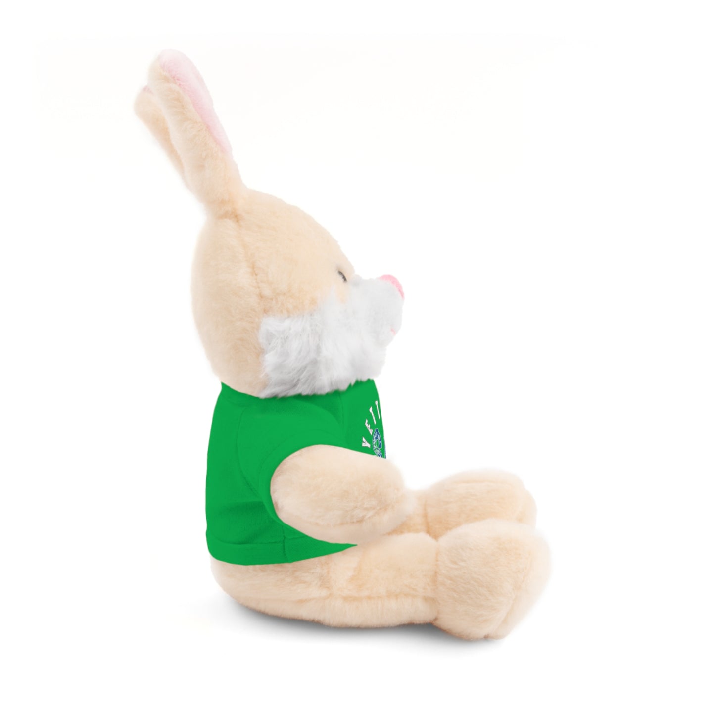 $o Fayetteville Personalized Stuffed Bear with T-Shirt – Perfect Gift for Kids and Celebrations