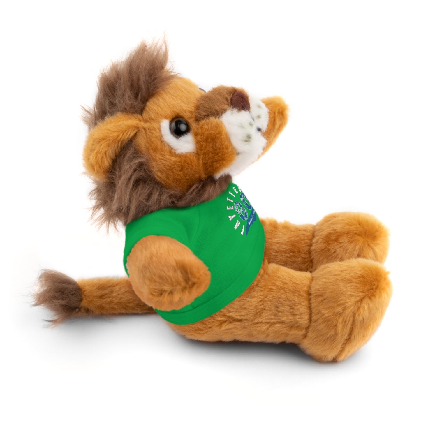 $o Fayetteville Personalized Stuffed Bear with T-Shirt – Perfect Gift for Kids and Celebrations