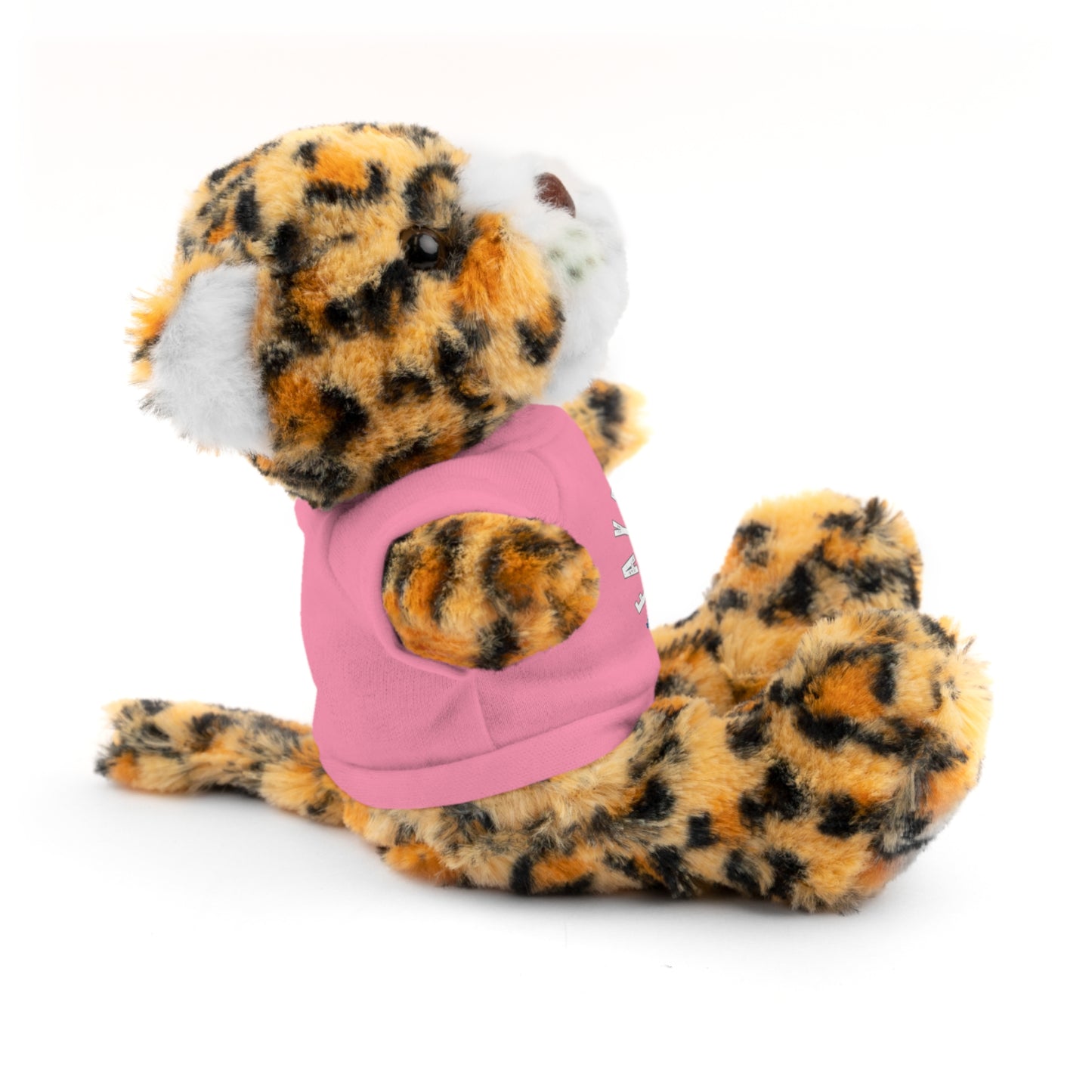 $o Fayetteville Personalized Stuffed Bear with T-Shirt – Perfect Gift for Kids and Celebrations
