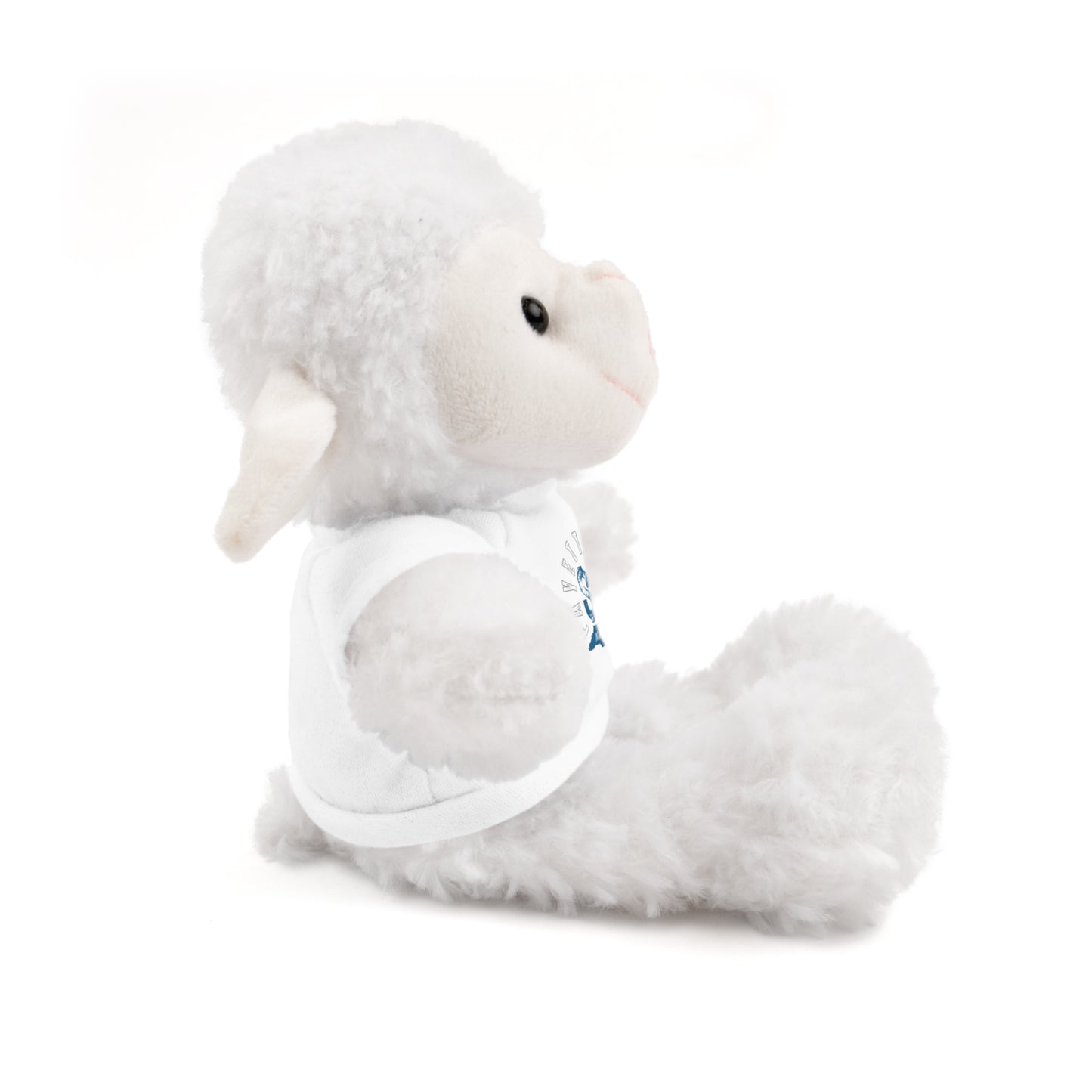 $o Fayetteville Personalized Stuffed Bear with T-Shirt – Perfect Gift for Kids and Celebrations