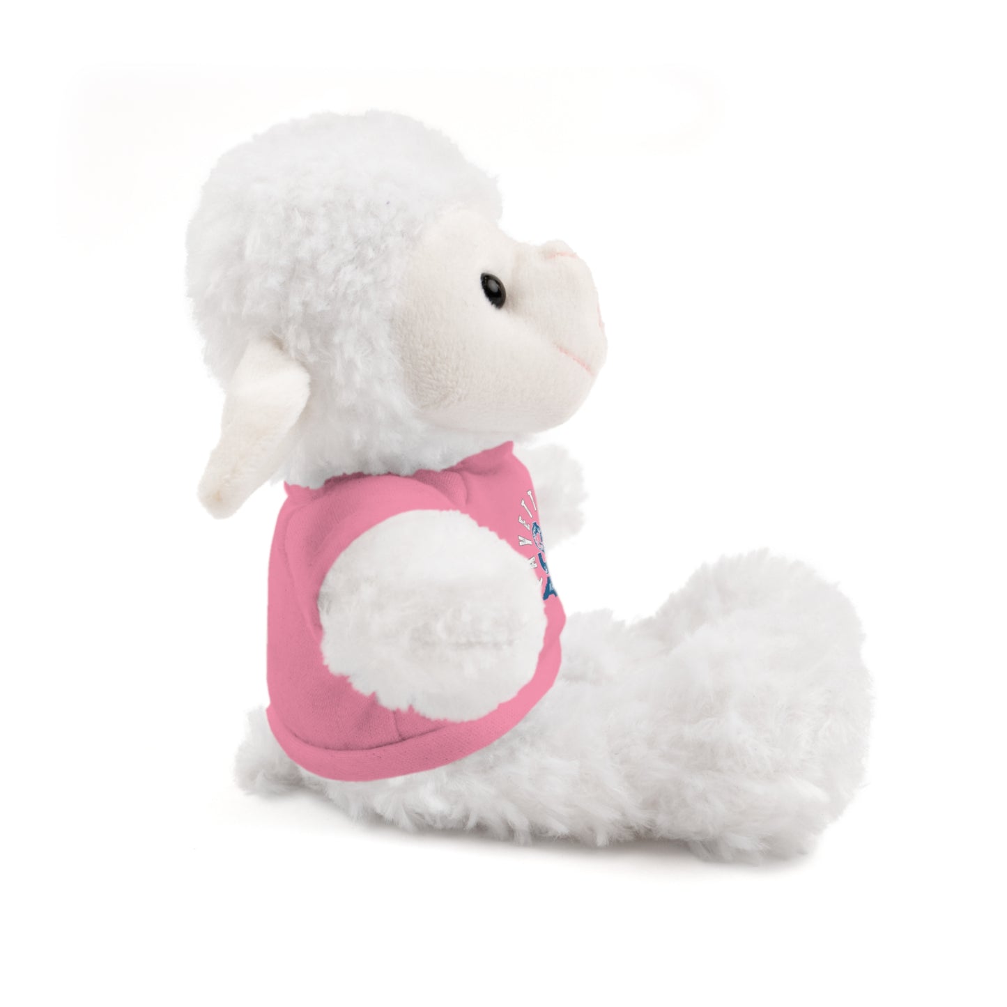 $o Fayetteville Personalized Stuffed Bear with T-Shirt – Perfect Gift for Kids and Celebrations