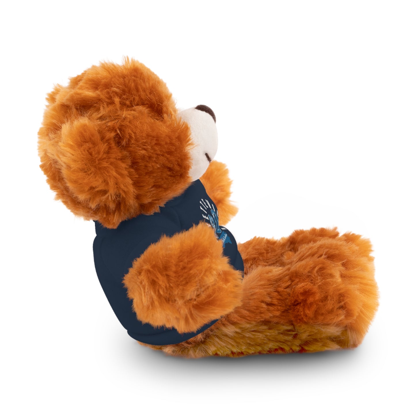 $o Fayetteville Personalized Stuffed Bear with T-Shirt – Perfect Gift for Kids and Celebrations