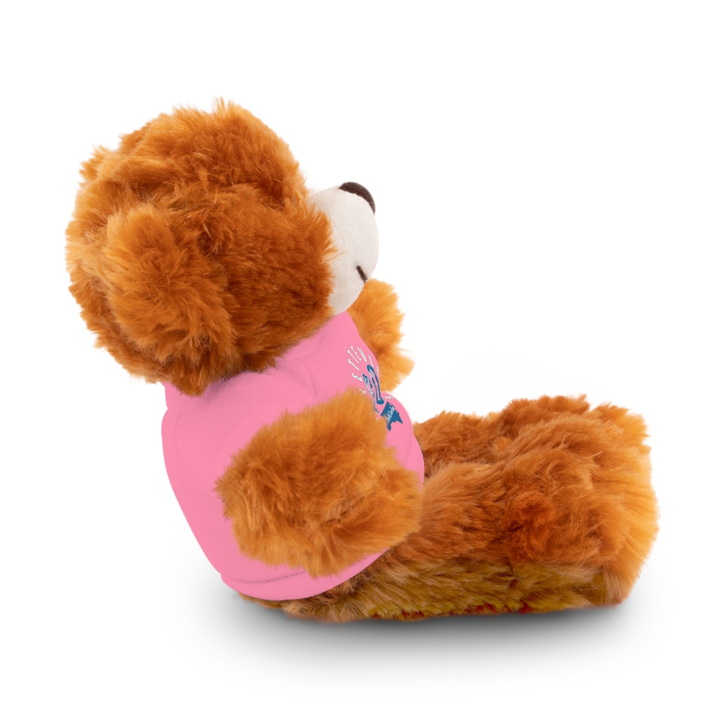 $o Fayetteville Personalized Stuffed Bear with T-Shirt – Perfect Gift for Kids and Celebrations