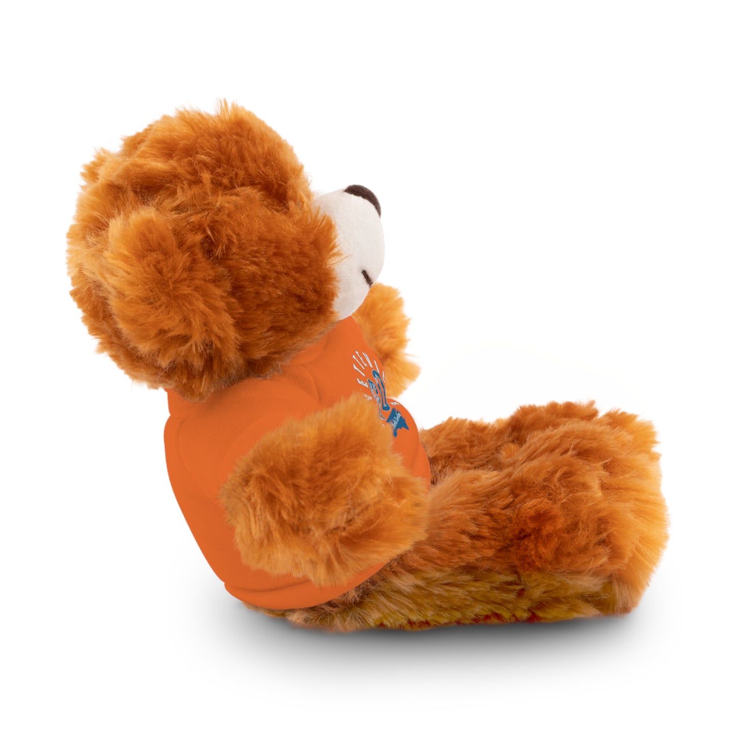 $o Fayetteville Personalized Stuffed Bear with T-Shirt – Perfect Gift for Kids and Celebrations