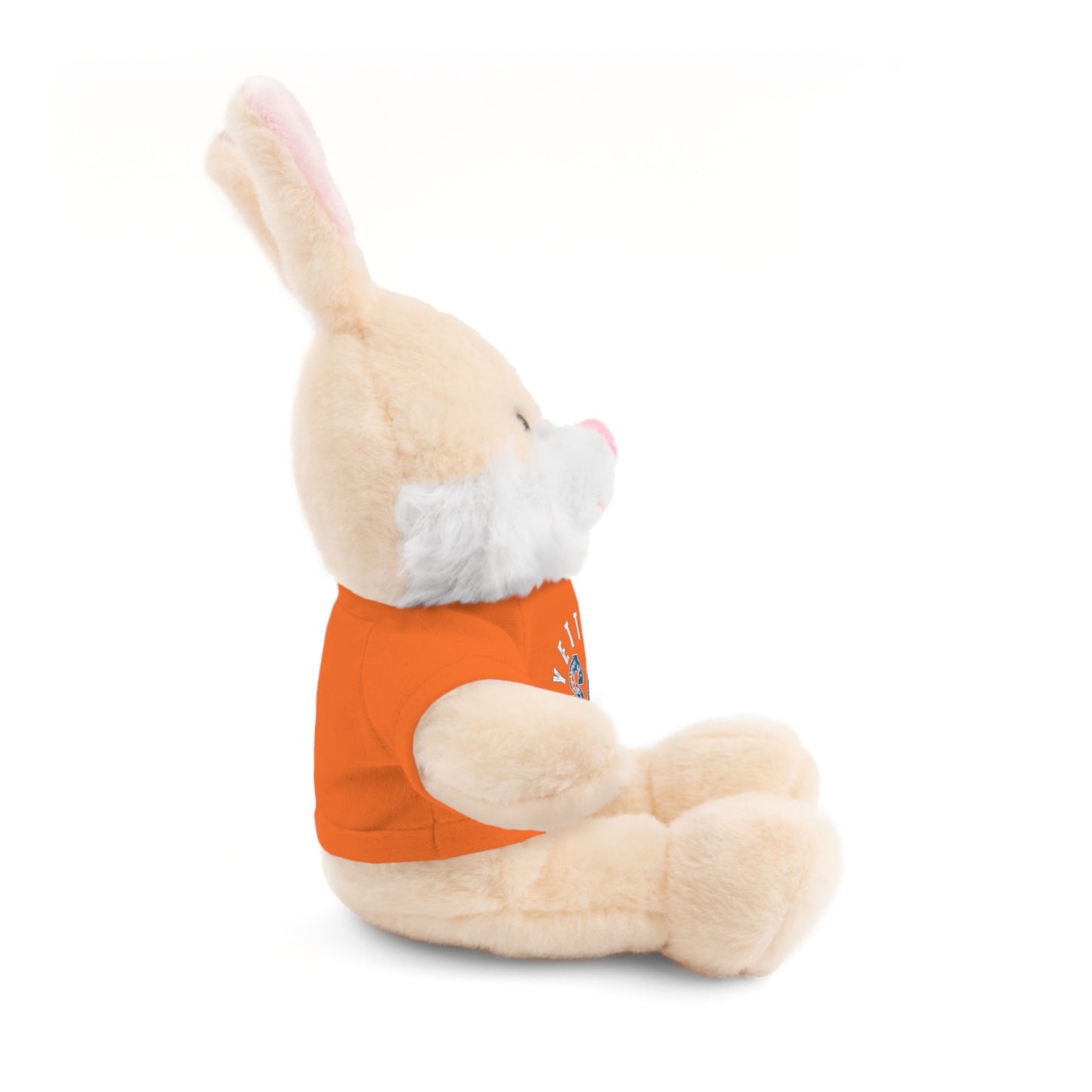 $o Fayetteville Personalized Stuffed Bear with T-Shirt – Perfect Gift for Kids and Celebrations
