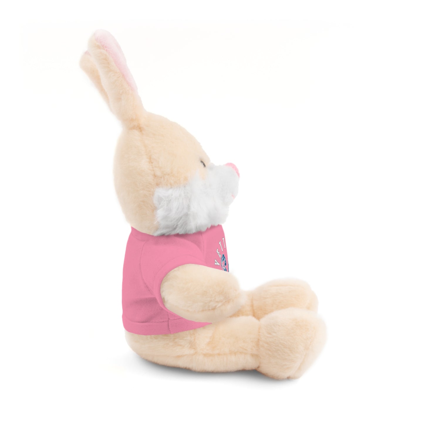 $o Fayetteville Personalized Stuffed Bear with T-Shirt – Perfect Gift for Kids and Celebrations